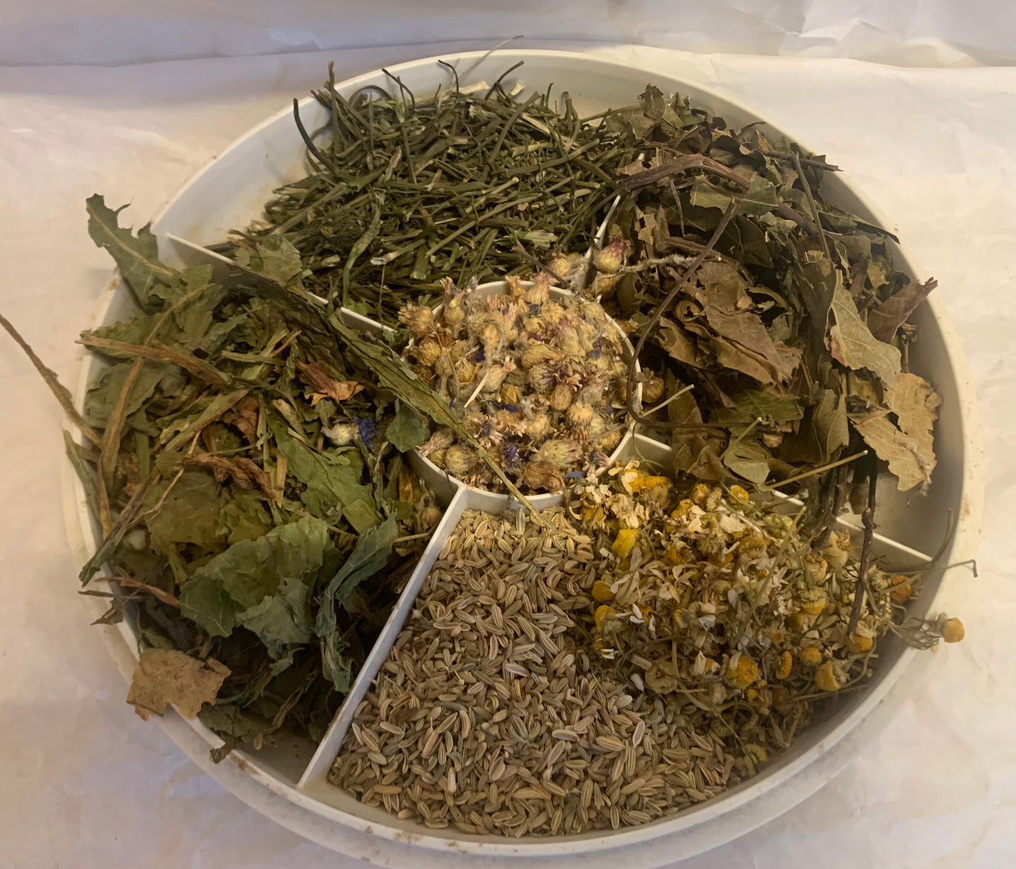 Hasenladen Gastro Vital