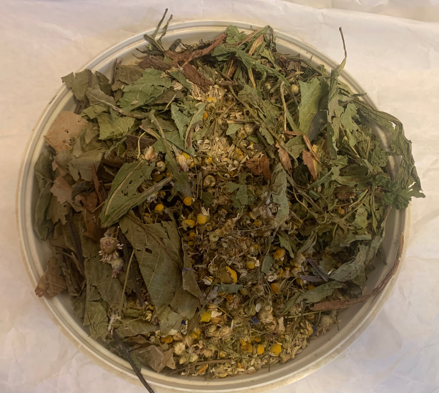 Hasenladen Gastro Vital